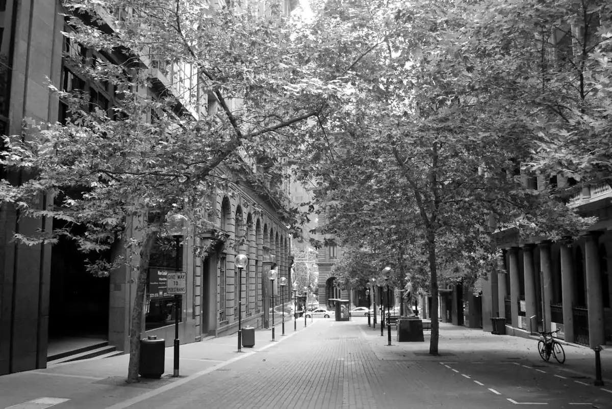 Tree-lined Barrack St in Sydney's CBD, with sandstone buildings and street lamps